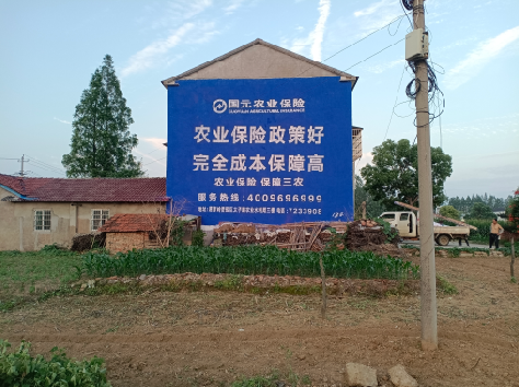 梁河墙体广告的优劣势你知道吗？